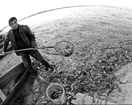 Thousands of dead fish found in contaminated reservoir