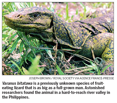 New species of giant lizard discovered in Philippines