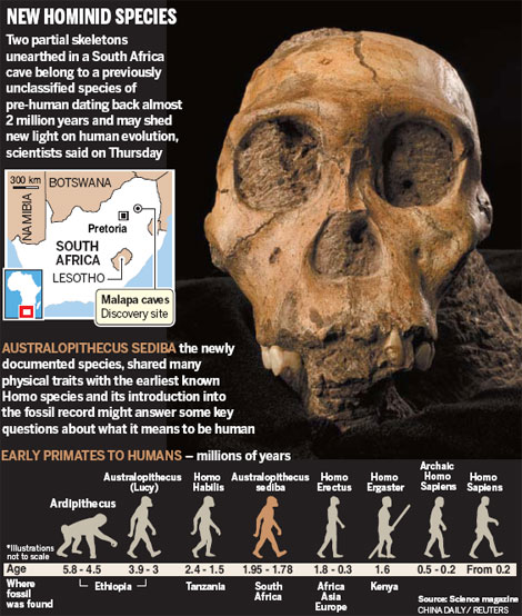 Ancient specimens shed light on man's evolution