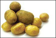 Tuber treats