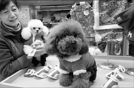 Dog registration unleashed
