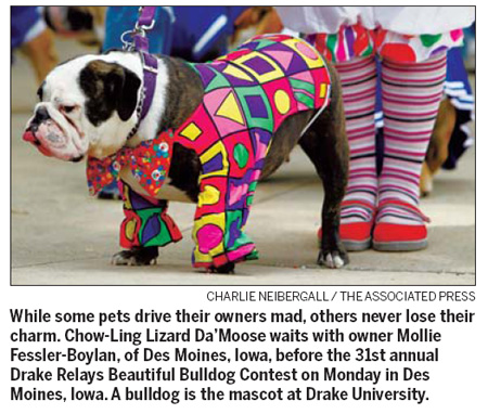 Even petulant pets are hard to give up in the US