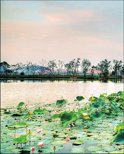 Ancient Hangzhou adds color to World Expo journey