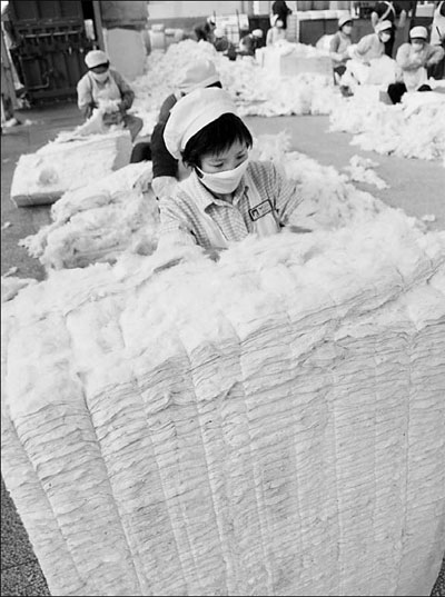 Cotton prices to extend rally