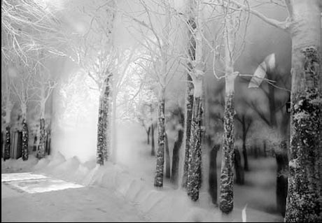 Jilin Special: Jilin pavilion presents a world of adventure