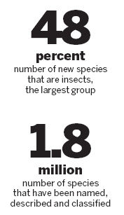 Flat-faced frog-fish among new species