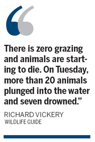 Starvation Island now deadly for wildlife as floods follow drought
