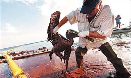 Bird washers hard at work as Gulf spill toll grows