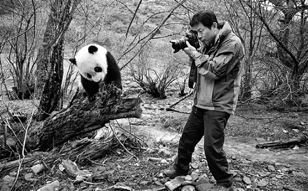 Lights, camera... panda!