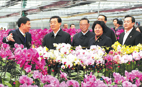 Fujian crucial in cross-Straits cooperation