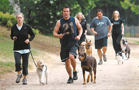 US bootcamps shape up dogs, owners