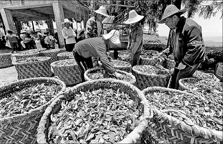 Deal to benefit island farmers