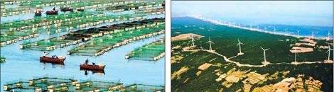 Marine economy focus for Shandong Peninsula