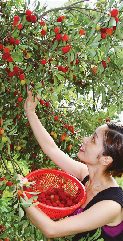 The very best of berries