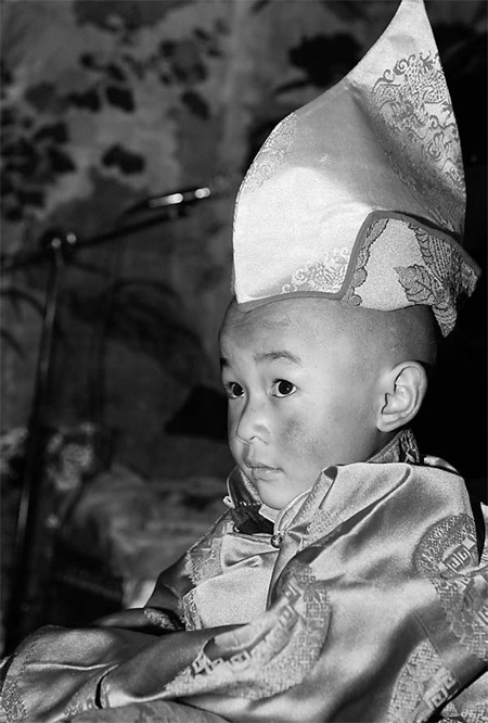 Reincarnation of 5th Living Buddha Dezhub chosen