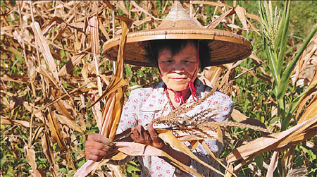 Expert predicts slight drop in grain output