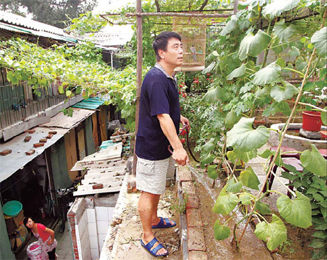 TLC and TCM help 'hanging garden' grow