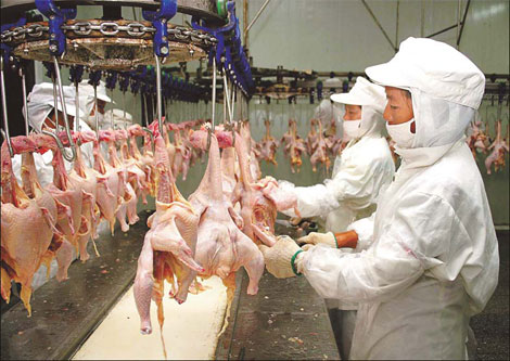 China gets WTO backing in chicken import row with US