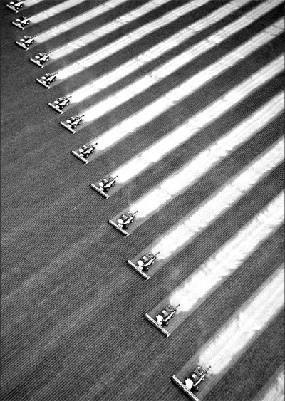 Soybeans to remain pricey