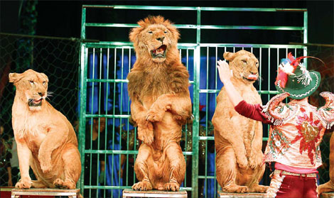 The big top comes to Beijing