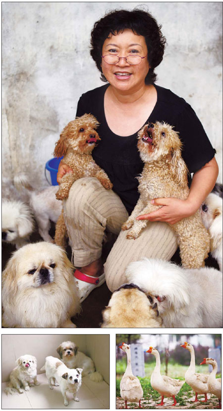 Billionaire dedicates her life to the care of stray dogs, cats