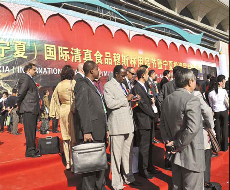 Ningxia a tourism and industry hot spot