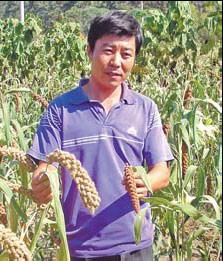 Amazing millet is exciting farmers