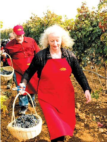 Fruit is top industry for Shandong