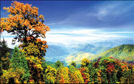 Hangzhou popular with tourists