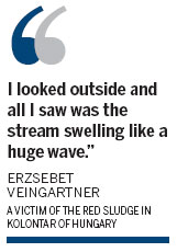 Hungary sludge flood called 'ecological disaster'