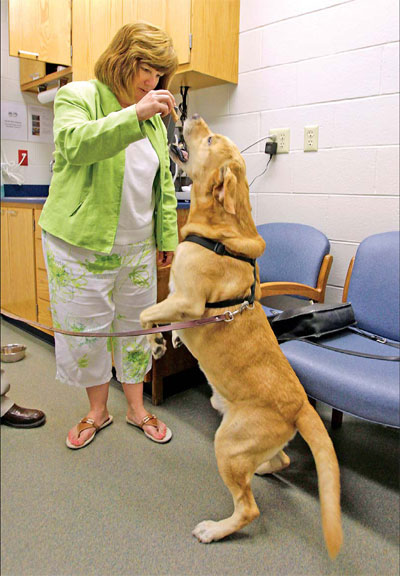 Pacemaker implants help pooches live longer lives