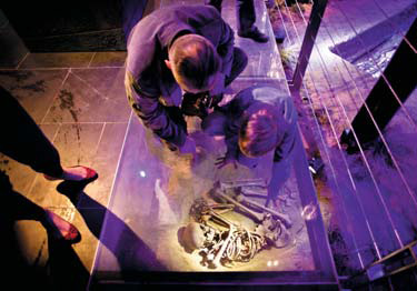 Ultra-modern museum reveals Krakow's past
