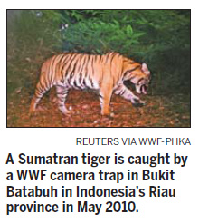 Hidden camera captures rare tiger and bulldozer