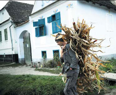 Romanian village sees unexpected renewal