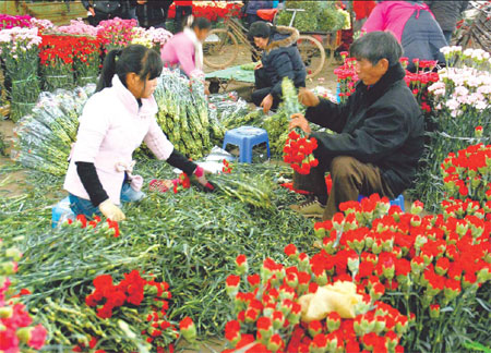 Carnations by the kilo