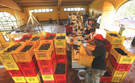 Winemakers use feng shui