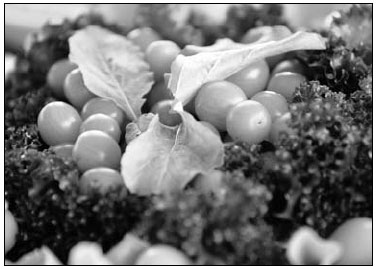 Organic oases