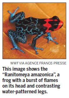 Unknown species found in Amazon