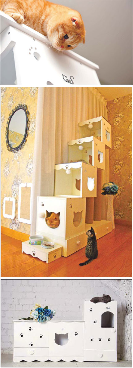 FIT FOR FELINE FANCIES