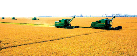 Heilongjiang production healthy