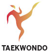 Afghanistan fighter finds silver lining in taekwondo