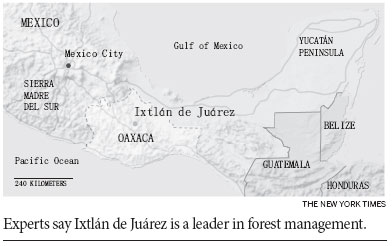 Zapotec Indians are growing a forest while harvesting jobs