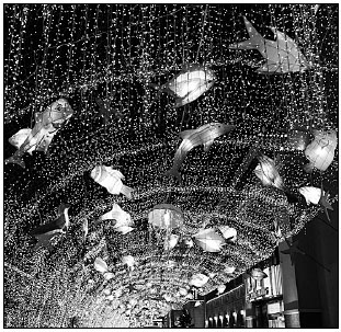 Shopping under the stars