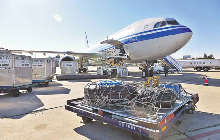 Planes to bring passengers back