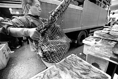 Working hard to satisfy festival appetites in HK, Macao