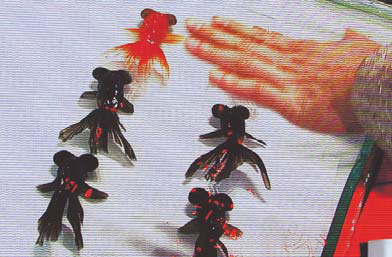 Goldfish act conjures up dirty tricks allegation