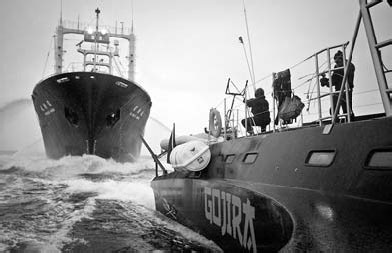 Activists call it a victory after Japan's whalers cut season short