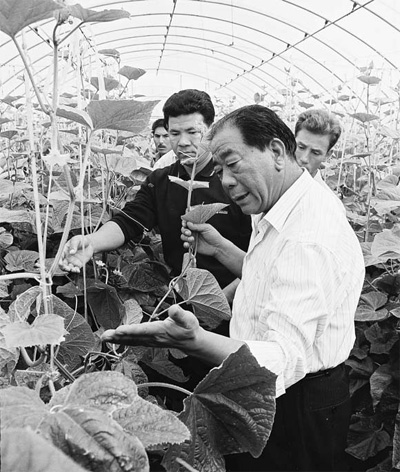 Greenhouse revolution pioneer