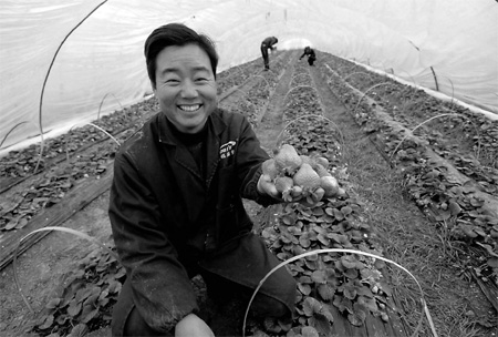 Greenhouse cash