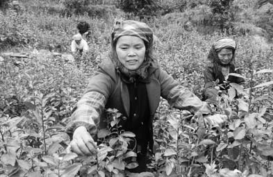 Narrow social life traps women in poverty